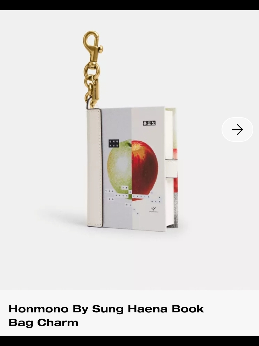 Coach Honmono Book Bag Charm
